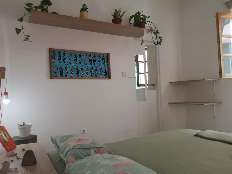 Apartamento Old House Tarrafal  Exterior foto
