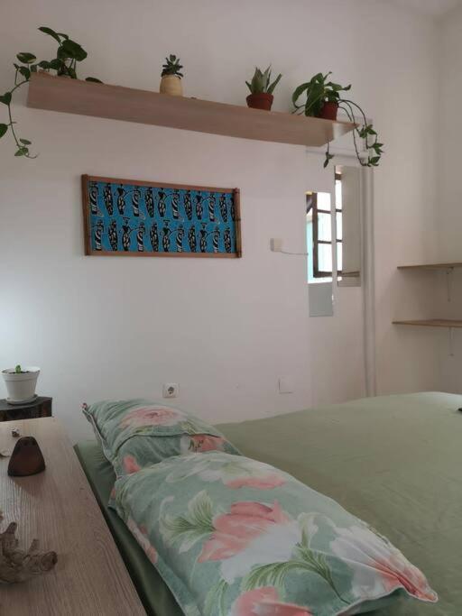 Apartamento Old House Tarrafal  Exterior foto